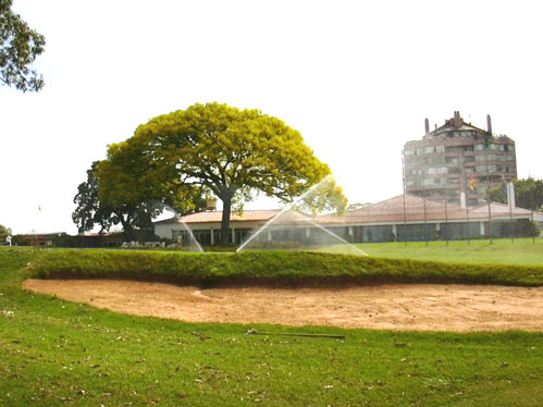 POA